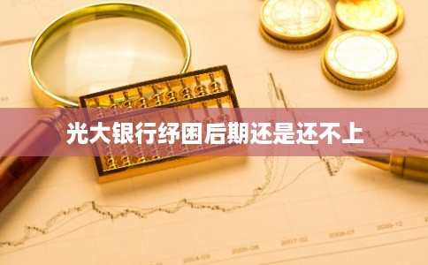 光大银行纾困后期还是还不上