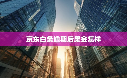 京东白条逾期后果会怎样