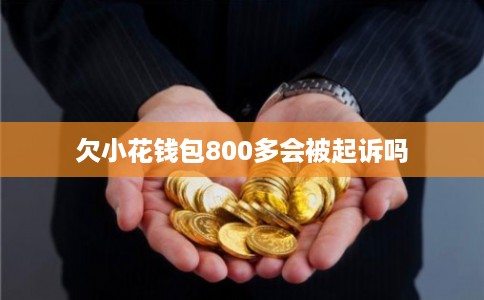 欠小花钱包800多会被起诉吗