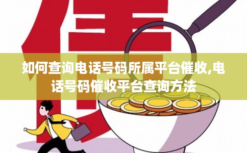 如何查询电话号码所属平台催收,电话号码催收平台查询方法