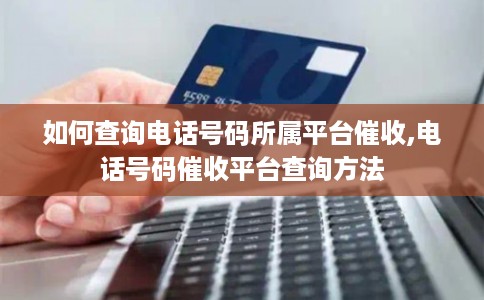 如何查询电话号码所属平台催收,电话号码催收平台查询方法