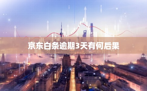 京东白条逾期3天有何后果