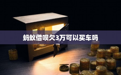 蚂蚁借呗欠3万可以买车吗