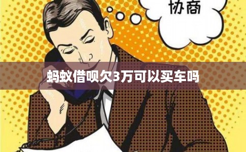蚂蚁借呗欠3万可以买车吗