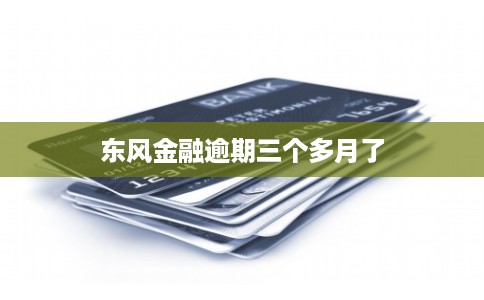 东风金融逾期三个多月了