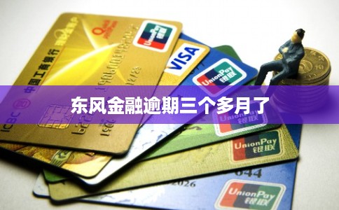 东风金融逾期三个多月了