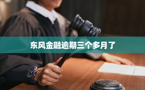 东风金融逾期三个多月了