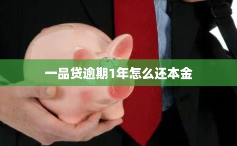 一品贷逾期1年怎么还本金