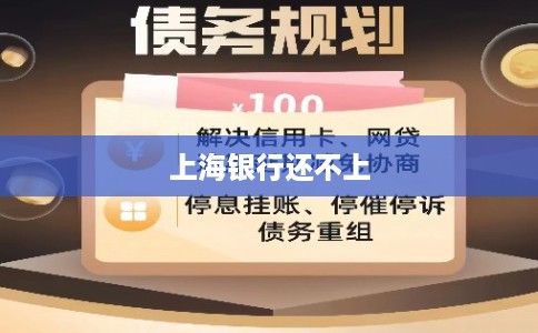 上海银行还不上