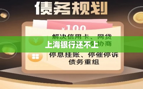 上海银行还不上