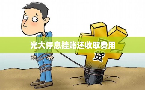 光大停息挂账还收取费用