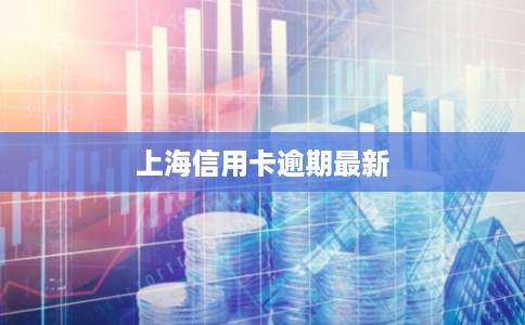 上海信用卡逾期最新