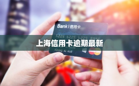 上海信用卡逾期最新
