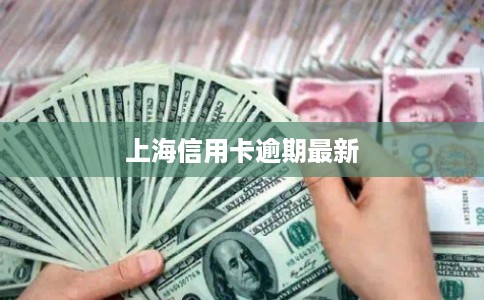 上海信用卡逾期最新