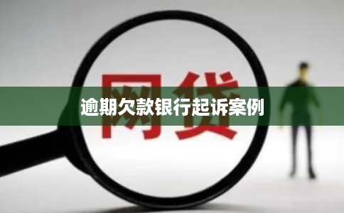 逾期欠款银行起诉案例