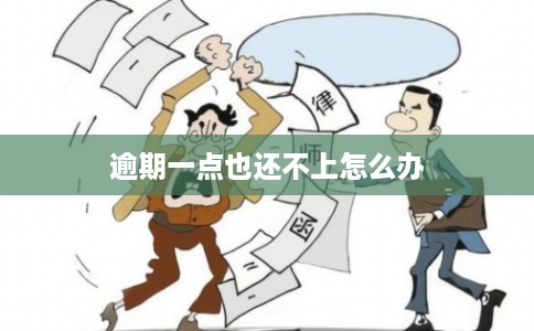 逾期一点也还不上怎么办