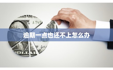 逾期一点也还不上怎么办