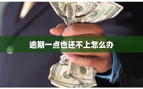 逾期一点也还不上怎么办
