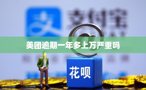 美团逾期一年多上万严重吗 美团逾期一年多上万严重吗