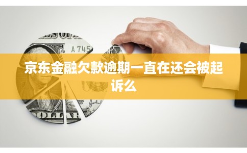 京东金融欠款逾期一直在还会被起诉么