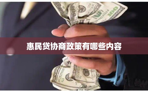 惠民贷协商政策有哪些内容