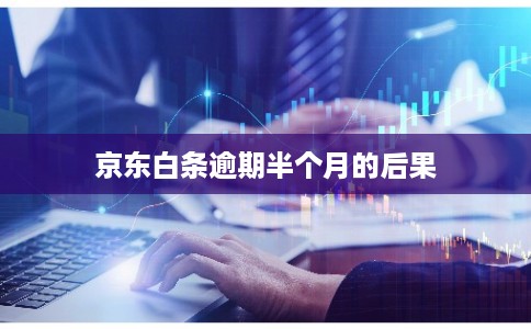 京东白条逾期半个月的后果
