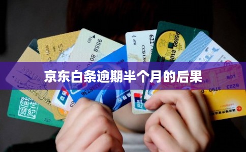 京东白条逾期半个月的后果
