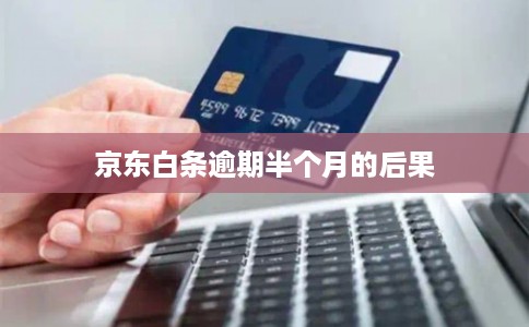 京东白条逾期半个月的后果
