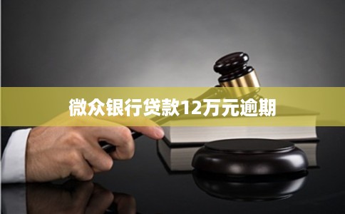 微众银行贷款12万元逾期