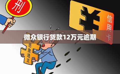 微众银行贷款12万元逾期