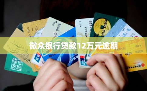 微众银行贷款12万元逾期