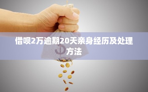 借呗2万逾期20天亲身经历及处理方法