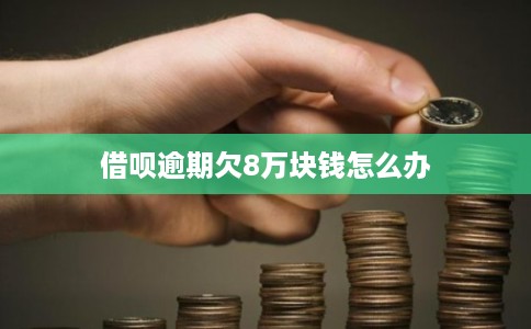 借呗逾期欠8万块钱怎么办