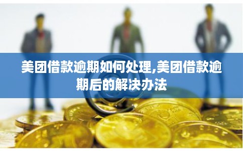 美团借款逾期如何处理,美团借款逾期后的解决办法