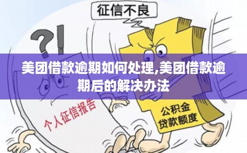 美团借款逾期如何处理,美团借款逾期后的解决办法
