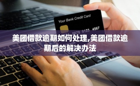 美团借款逾期如何处理,美团借款逾期后的解决办法