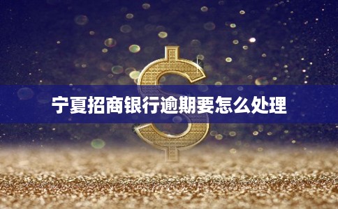 宁夏招商银行逾期要怎么处理