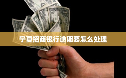 宁夏招商银行逾期要怎么处理
