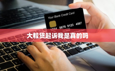 大粒贷起诉我是真的吗