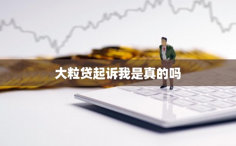 大粒贷起诉我是真的吗