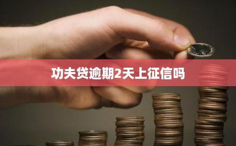 功夫贷逾期2天上征信吗