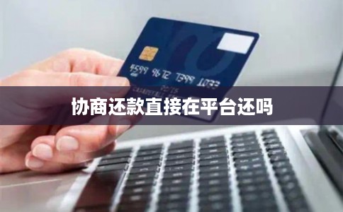协商还款直接在平台还吗