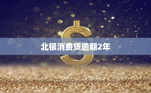 北银消费贷逾期2年