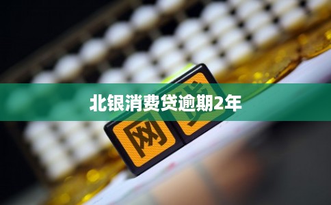 北银消费贷逾期2年