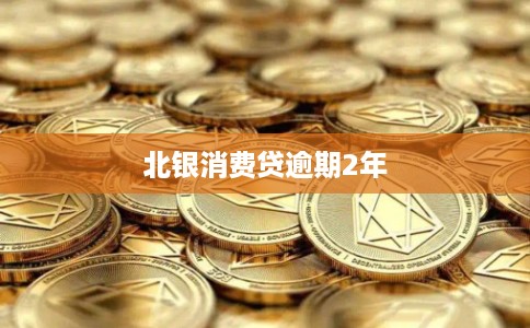 北银消费贷逾期2年