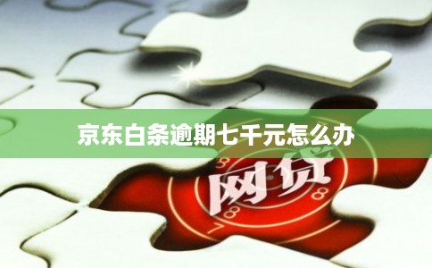 京东白条逾期七千元怎么办