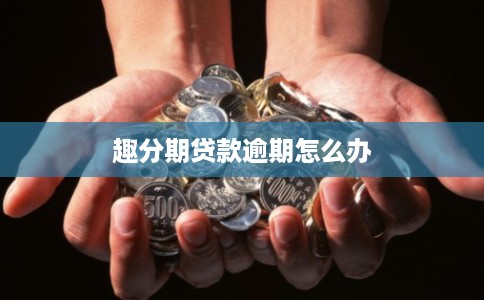 趣分期贷款逾期怎么办