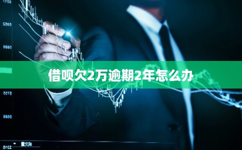 借呗欠2万逾期2年怎么办
