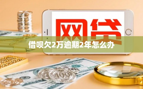 借呗欠2万逾期2年怎么办