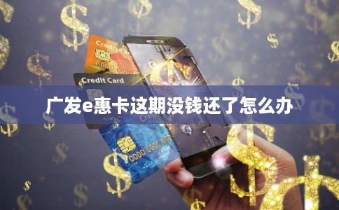 广发e惠卡这期没钱还了怎么办